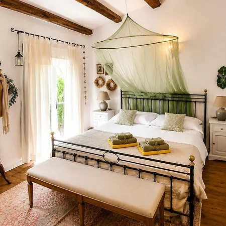 Novel Višnjan
